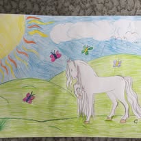 94443778_156576649217511_8294200328161591296_n hobuse_joonistus