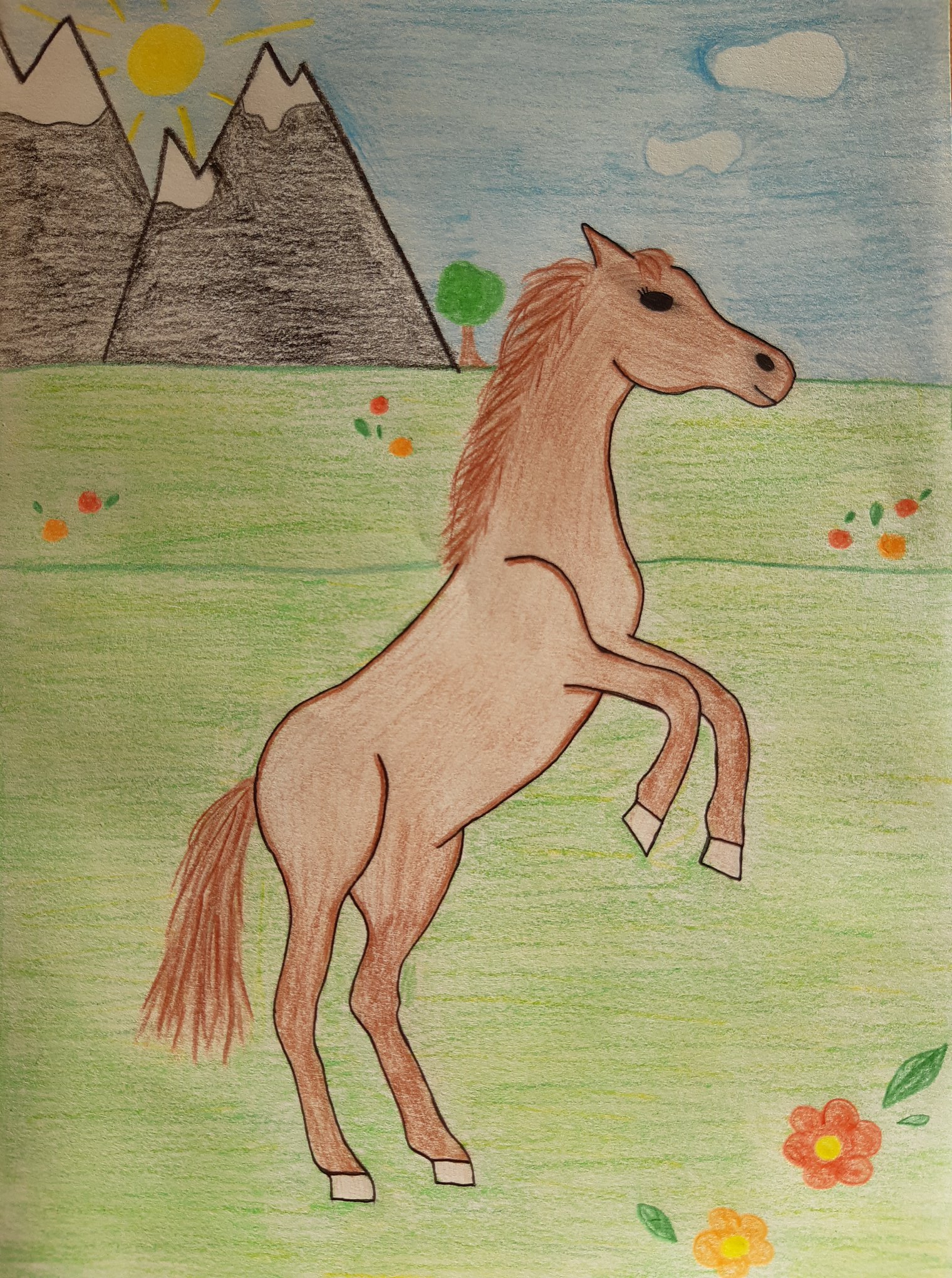 95163926_157028085839034_3499313686609133568_n joonistus_hobune