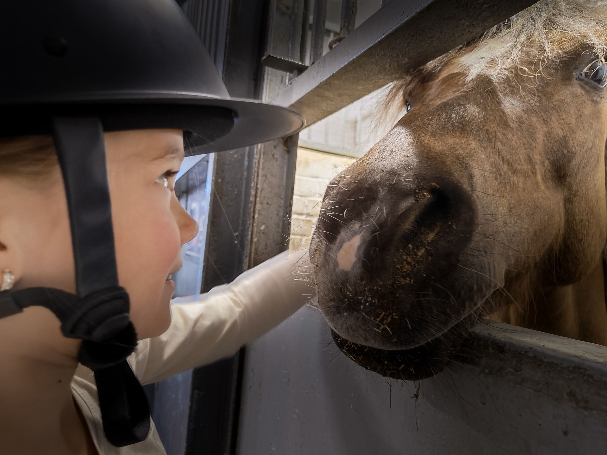 oplus_1048610 poni_nina