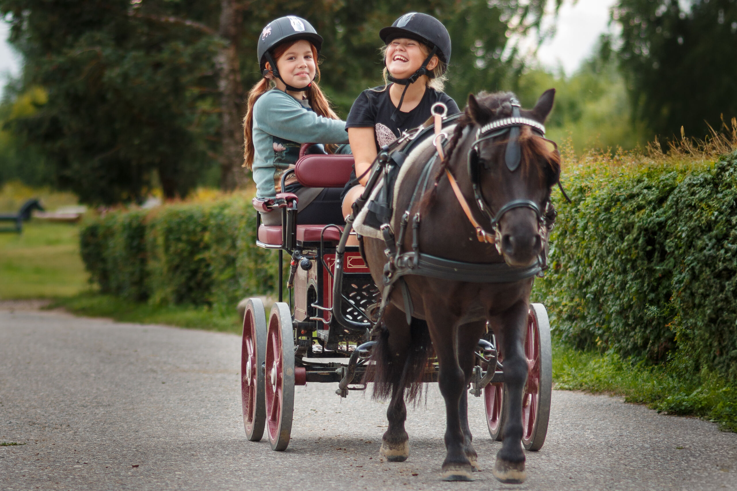 _MG_6604_full ponivankriga