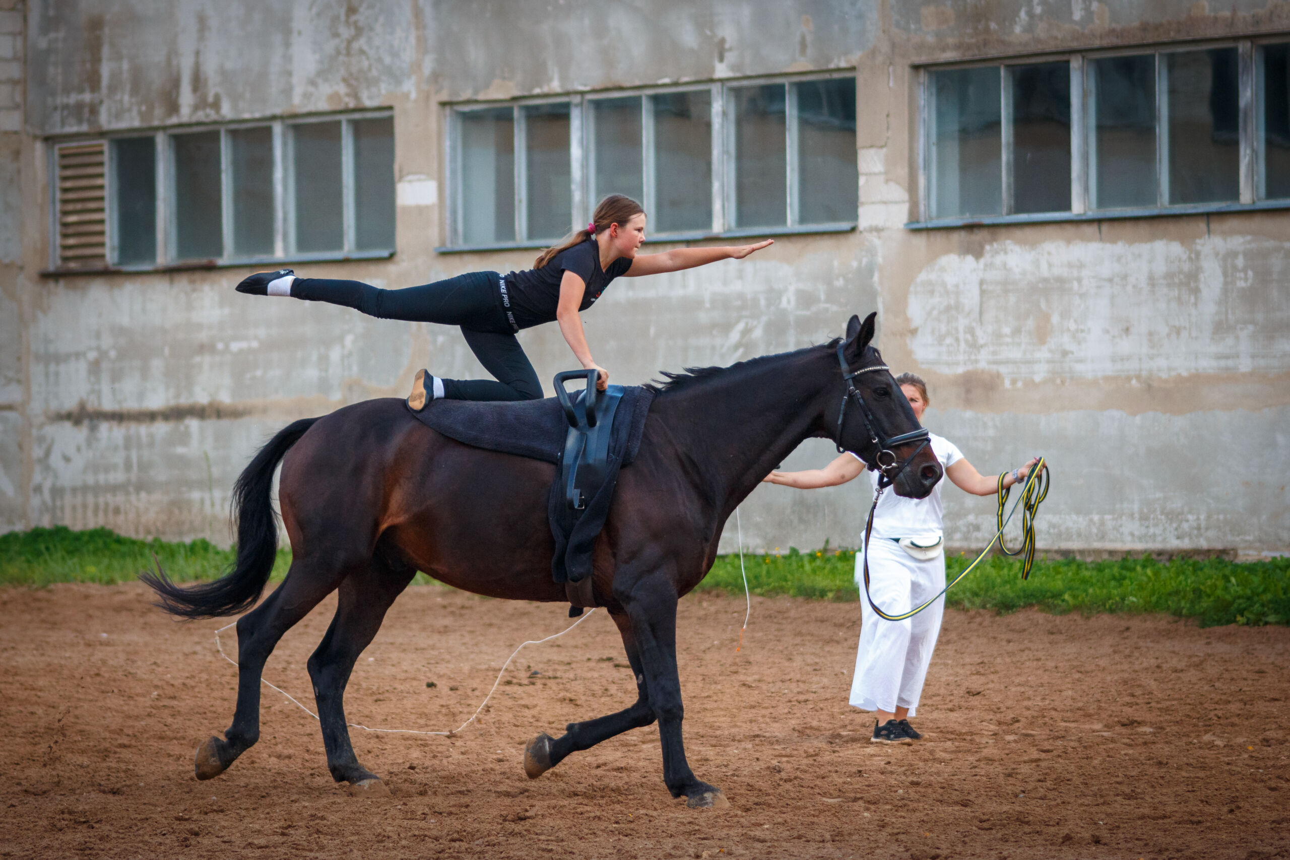 _MG_7619_full voltizeerimine