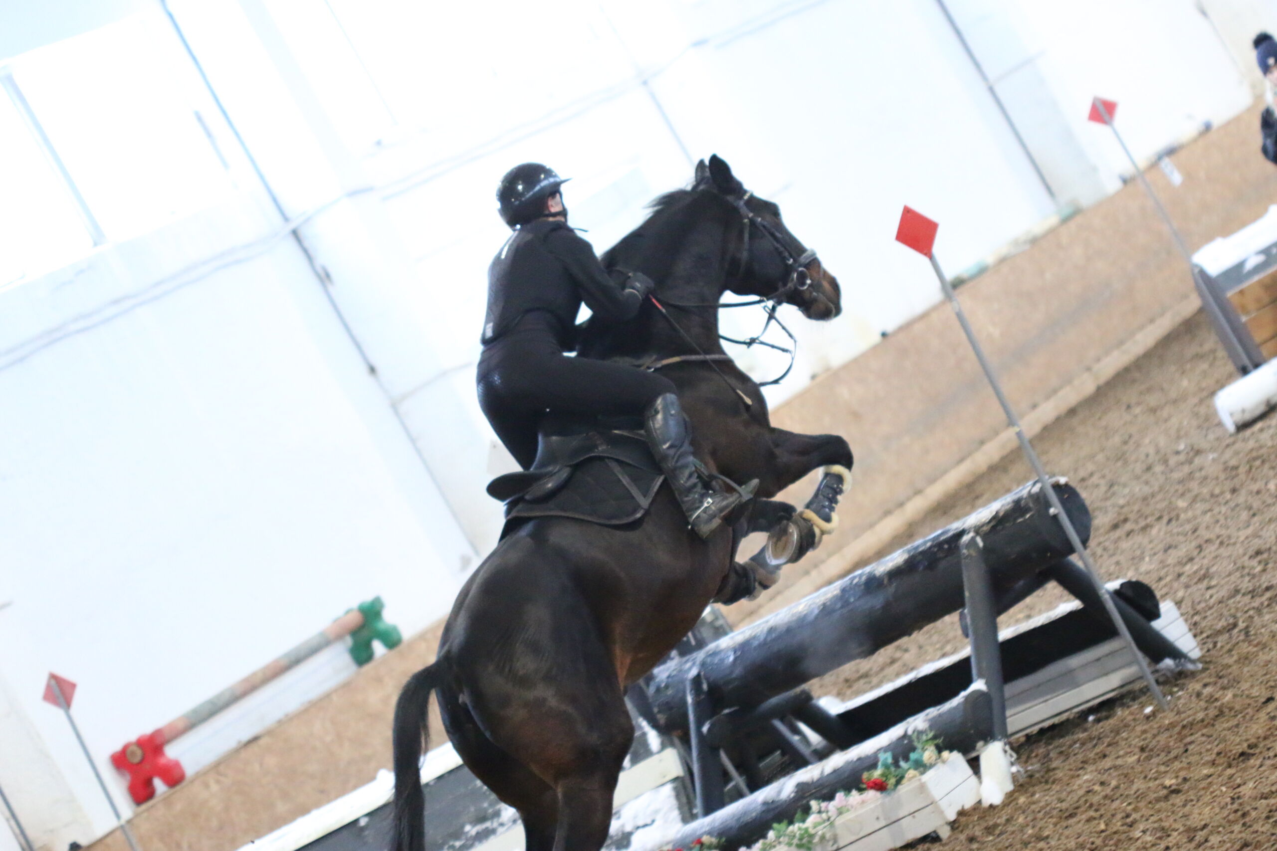 IMG_9546 hobune_krossitõkkel